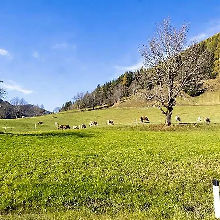 Hotel Centrally Located In 3*
